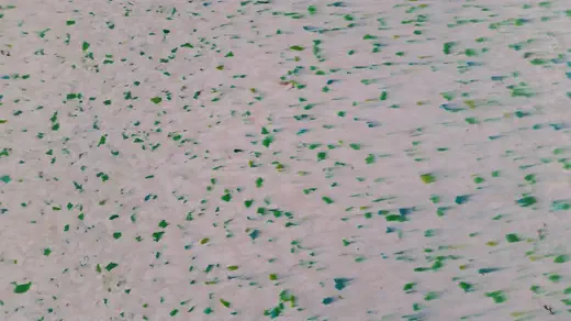 Blanco verdes — color real de la tabla de plástico reciclado