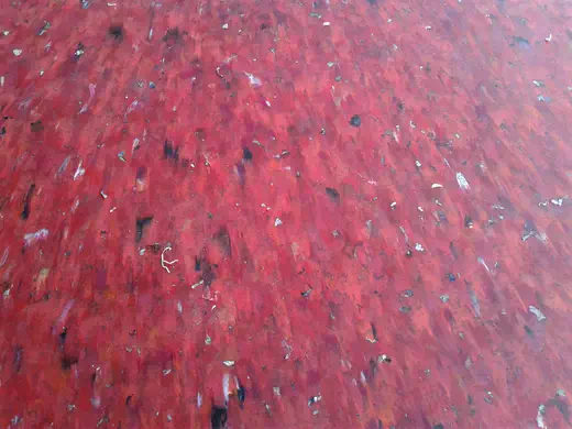 Rojo — color real de la tabla de plástico reciclado