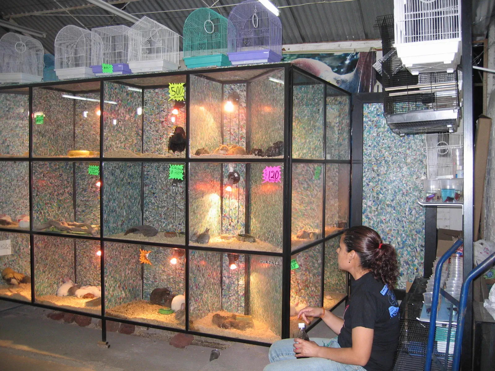 Módulos de exhibición para tienda de mascotas fabricados en tabla de plástico reciclado